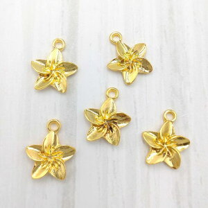 10 `[ nCA vA S[h 14.5mm sAX CO p[c r[YNu `[ L[z_[ lbNX  sAX