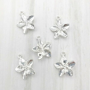 �r�[�Y�N���u �`���[�� �n���C�A�� �v�������A �V���o�[ 14.5mm 10�Z�b�g