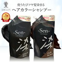 【公式】 白髪染め シャンプー 450g 1本で3役 カラーシャンプー 白髪 白髪隠し 白髪ぼかし シャンプー トリートメント ヘアマニュキュア 男性 女性 ブラック ブラウン ヘアカラー ヘアケア 髪 黒 茶 簡単 全体染め リタッチ Sen 染 日本製