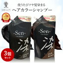 【1点あたり1,880円】【公式】【3個セット】 白髪染め シャンプー 450g 1本で3役 カラーシャンプー 白髪 白髪隠し 白髪ぼかし シャンプー トリートメント ヘアマニュキュア ブラック ブラウン ヘアカラー 髪 黒 茶 簡単 全体染め リタッチ Sen 染 日本製 コスメ 福袋 2025