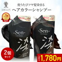 【1点あたり1,780円】【公式】【2個セット】 白髪染め シャンプー 450g 1本で3役 カラーシャンプー 白髪 白髪隠し 白髪ぼかし シャンプー トリートメント ヘアマニュキュア ブラック ブラウン ヘアカラー 髪 黒 茶 簡単 全体染め リタッチ Sen 染 日本製 コスメ 福袋 2025