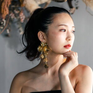 EFfBO ANZT[ sAX uC_ t[   U h i EGfBO  񎟉 a Ǝ \