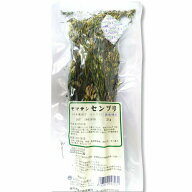【ネコポスで送料無料】【第3類医薬品】ヤマサンセンブリ千振 20g （せんぶり）【小島漢方】【同梱不可】…