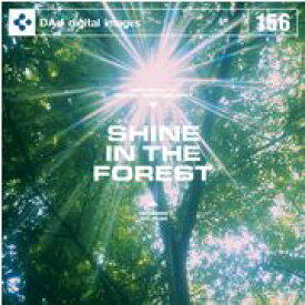 【あす楽】DAJ 156 SHINE IN THE FOREST メール便可 CD-ROM素材集 ロイヤリティ フリー cd-rom画像 cd-rom写真 写真 写真素材 素材