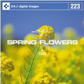 マラソンPT2倍【あす楽】DAJ 223 SPRING FLOWERS メール便可 CD-ROM素材集 ロイヤリティ フリー cd-rom画像 cd-rom写真 写真 写真素材 素材