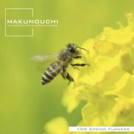 SSポイント3倍【あす楽】Makunouchi 109 Spring Flowers CD-ROM素材集 送料無料 ロイヤリティ フリー cd-rom画像 cd-rom写真 写真 写真素材 素材