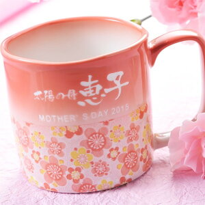 y v[gzLc ~͗l }OJbv Pi Mtg ؔ