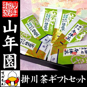 掛川茶