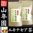 【国産 100%】エキナセア茶 2g×10パック×2袋セット ノンカフェイン 鳥取県産 無農薬 送料無料 ハーブティー エキナセア お茶・・・