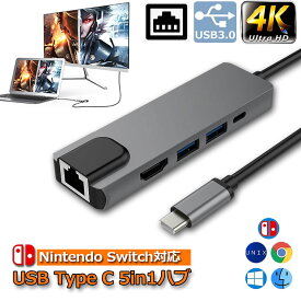 USB TypeC ハブ 5 in 1 Nintendo Switch対応 4K＠30Hz 有線LAN アダプター USBC HDMI LANポート イーサネット PD充電対応 ドッキングステーション MacBook Air 2020 Surface Go 2 Chromebook Pixelなどに対応