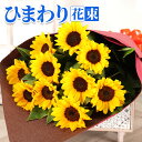 【クール便対応可】 誕生日 花 父の日 ギフト ひまわり 花束 記念日 結婚記念日 結婚祝い お祝い プレゼント ヒマワリ 敬老の日
