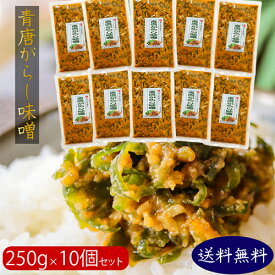 【送料無料】青唐辛子味噌 250g×10個セット 青唐がらし味噌 ご飯のお供 信州味噌 青とうがらし 味噌 青唐辛子 おかず味噌 お酒のおつまみ 万能調味料 季折