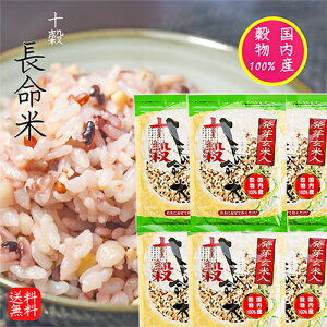 yz茺ē蒷 270g×6 Y100 G \