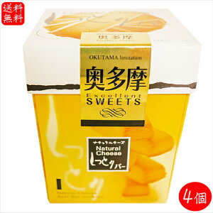 yzƂo[ i``[Y 10×4 NbL[ XC[c Ăَq ʉَq َq  v[g G