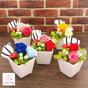 vU[uht[ v`t[ o v`Mtg  v[g 搶  j a ސE ٓ  ybg L    P[X o  ̋