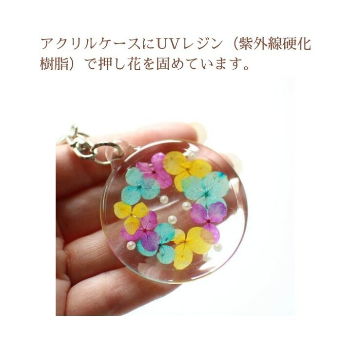 楽天市場】虹色あじさい 押し花 キーホルダー 花 ギフト プレゼント 