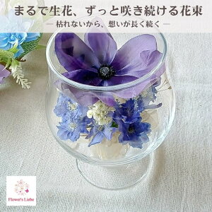 Ċ ͂Ȃԑ {gt[ MtgyOXiSjFAll ftBjE z {̉Ԃ hCt[ ɉH ؂ȋLÔԂYɒ܂ ɂ