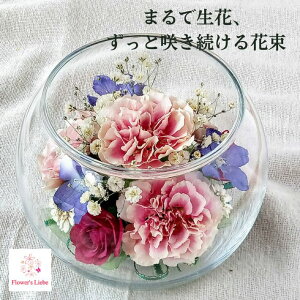 Ċ ͂Ȃԑ {gt[ Mtgy{[FJ[l[V o z{̉Ԃ hCt[ ɉH ؂ȋLÔԂYɒ܂ ɂS ւs