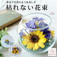 ギフト ボトルフラワー 貰って嬉しい 枯れない花束 【 ひまわり】本物の花を ドライフラワー に加工 大切…