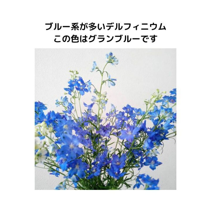 楽天市場】押し花 素材 デルフィニウム レジンアクセサリー 