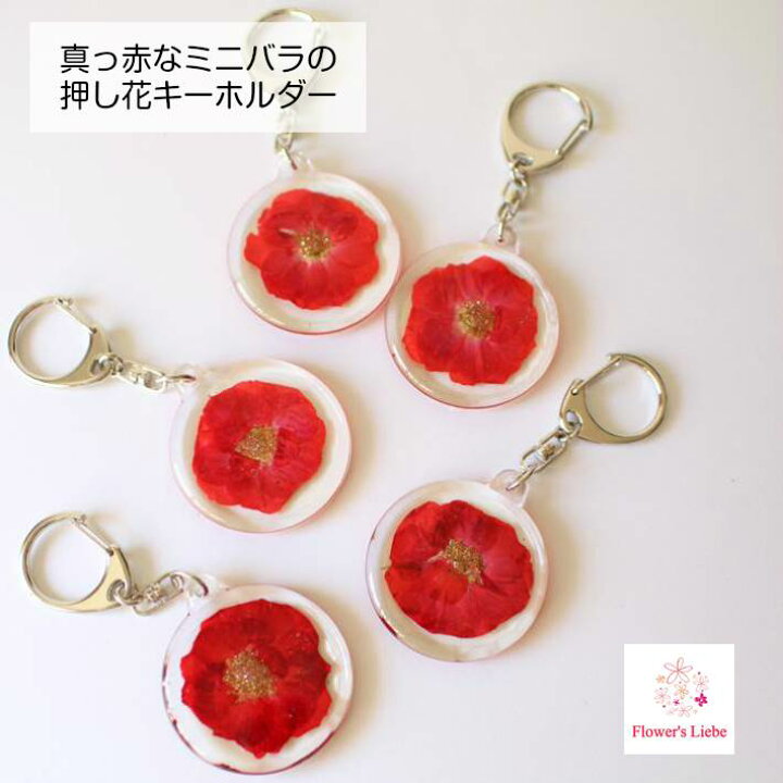 楽天市場 ミニバラの押し花キーホルダー 母の日 ギフト プレゼント 実用的 プチギフト 大人可愛い おしゃれ かわいい 誕生日 女性 レディース バッグチャーム レジン 退職 お礼 送別 自転車 鍵 花 キーホルダー ボタニカル ハンドメイド 赤 バラ フラワーズリーベ