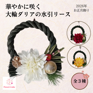 yyVX[p[SALE20%OFFz_A̐[X ߓ [Xia16cmj ؗő݊̂_Ả Cɓ̂ߓł}܂傤 Ԍt ́uӁv Ԃ́uh؁v 