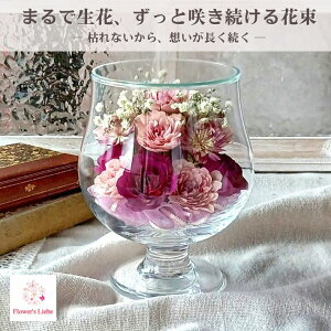 Ċ ͂Ȃԑ {gt[ MtgyOXiSjF oiԎԁj ݑ z{̉Ԃ hCt[ ɉH ؂ȋLÔԂYɒ܂ ɂ