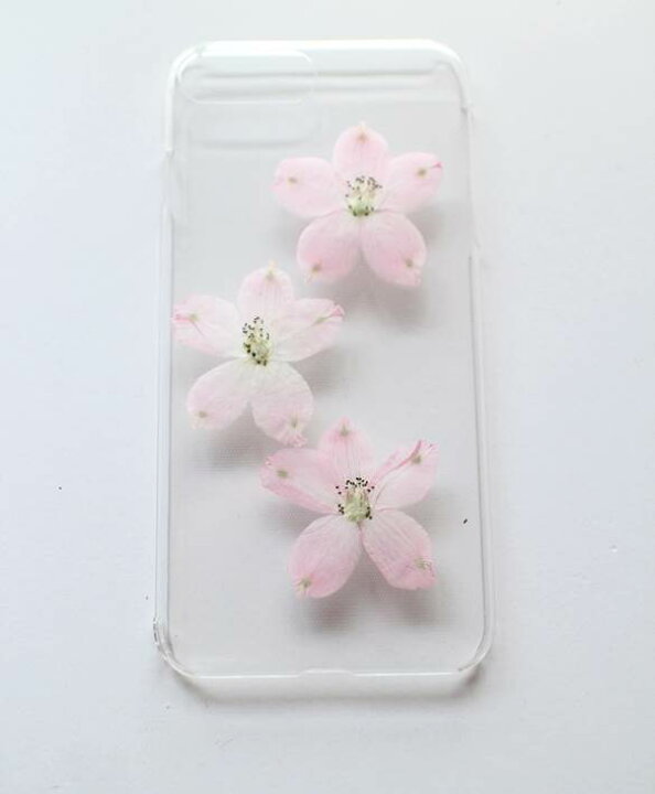 楽天市場 押し花 素材 デルフィニウム ピンク レジンアクセサリー スマホケース 押し花額 固まるハーバリウム キャンドル ウエルカムボード 結婚証明書 クリアフレーム 人気 花材 ボタニカル ドライフラワー 自然 フラワーズリーベ