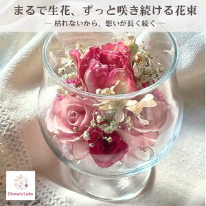 Ċ ͂Ȃԑ {gt[ MtgyOXiSjF `[bv oz{̉Ԃ hCt[ ɉH ؂ȋLÔԂYɒ܂ ɂS 