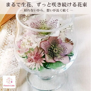 Ċ ͂Ȃԑ {gt[ MtgyOXiSjF NX}X[Yz{̉Ԃ hCt[ ɉH ؂ȋLÔԂYɒ܂ ɂS ւ