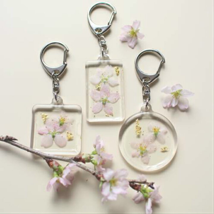 楽天市場 日本の花はやっぱり桜 啓翁桜の押し花キーホルダー 選べる３種類 桜 サクラ さくら キーホルダー おしゃれ かわいい 母の日 ギフト プレゼント 実用的 プチギフト 誕生日 女性 レディース バッグチャーム 自転車 鍵 花 桜 フラワーズリーベ