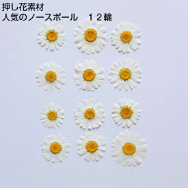 楽天市場 押し花 素材送料無料の通販 楽天市場 押し花 素材送料無料の通販