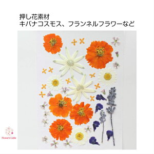 レジン クラフト 押し花の人気商品 通販 価格比較 価格 Com