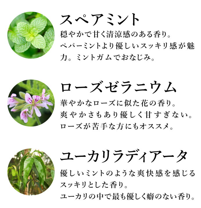 楽天市場 Off 定番 オススメ7点セット 天然成分100 リュクス 7点セット エッセンシャルオイル 10ml アロマセラピスト監修 精油 ラベンダー ベルガモット レモン イランイラン スペアミント ゼラニウム ローズゼラニウム ユーカリ ラディアータ アロマオイル