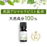 【アロマセラピスト監修】天然成分100% エッセンシャルオイル 10ml 5mlアロマセラピー リュクス100 精油 …