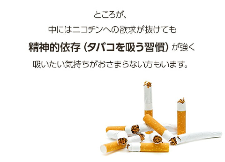 楽天市場】【付属品】31本セット終了後いつでもやめられる状態をキープ! キープパイプ 31番 10本セット GR GS : CococicA ココシカ 楽天市場】【付属品】31本セット終了後いつでもやめられる状態をキープ! キープパイプ 31番 10本セット GR GS : CococicA ココシカ
