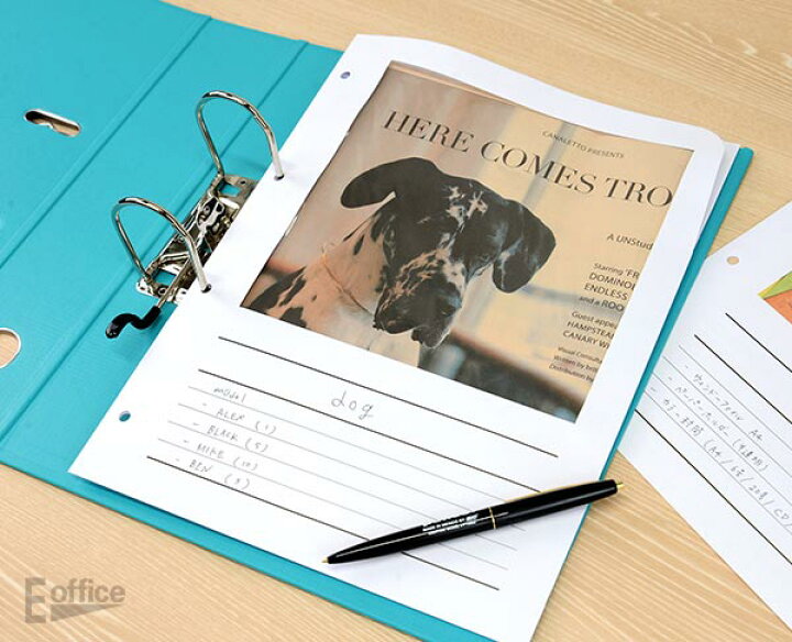楽天市場 Elco エルコ ウィンドーファイル 4穴ファイル用リフィル 10枚文房具 文具 デザイン 事務用品 学校 ステーショナリー デザイン カラフル 海外 輸入 おしゃれ 授業 オフィス オシャレ 紙 ファイリング 高校生 大学生 社会人 仕事 書類 会社 整理 おしゃれ文具