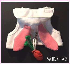 ̃n[lXɂn[lXn[lXizCgj[]