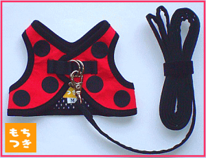 ̃n[lXIɂn[lXiĂƂj[]