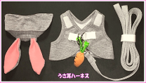 テト♪【もちつき　半額SALE！】【公式】くにたちハーネス テト♪【もちつき 半額SALE！】【公式】くにたちハーネス 楽天