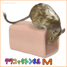 シマリス・デグー・モモンガ等の素焼きのカクレガ！テラコッタトンネルM[三晃商会]