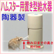楽天市場】ハムスター 水槽 セットの通販