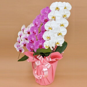 Ӓ  3{ ~bNX   ԃbv sN  j ړ]j JXj ACj J@j JƏj Nj ij ސEj Ij a җ Ď    