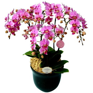 ~fB Ӓ 5{ sN 7 픫 j ړ]j JXj ACj J@j JƏj Nj ij ސEj a җ Ď  j LO    