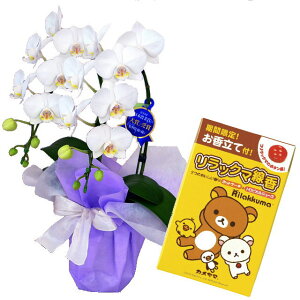 リラックマ 花の人気商品 通販 価格比較 価格 Com リラックマ 花の人気商品 通販 価格比較 価格 Com