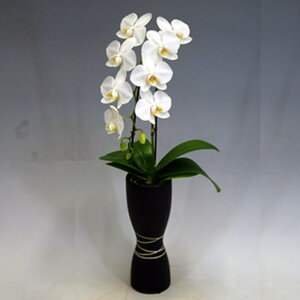 ~fB Ӓ z 1{ A}rX  j ړ]j JXj ACj J@j JƏj Nj ij ސEj Ij a җ Ď   䋟    