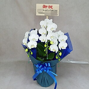 ~fB Ӓ 3{ A}rX  j ړ]j JXj ACj J@j JƏj Nj ij ސEj Ij a җ Ď   䋟    t