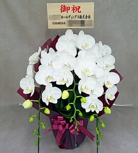 ~fB Ӓ 3{ A}rX  j ړ]j JXj ACj J@j JƏj Nj ij ސEj Ij a җ Ď   䋟    Yn