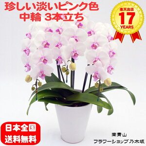 y|Cg10{zӒ  RbgLfB 3{ _ubsOd