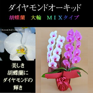 Ӓ  2{ ~bNX  ԃbv1{AsN1{  _Ch I[Lbh j ړ]j JXj ACj J@j JƏj Nj a җ Ď    